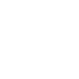 N.beaute Logo